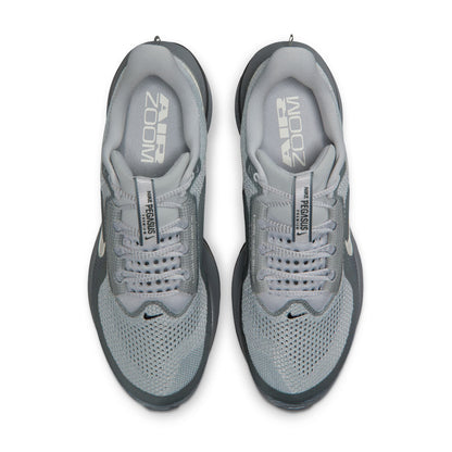 Nike Mens Pegasus Premium - Wolf Grey — product image 6