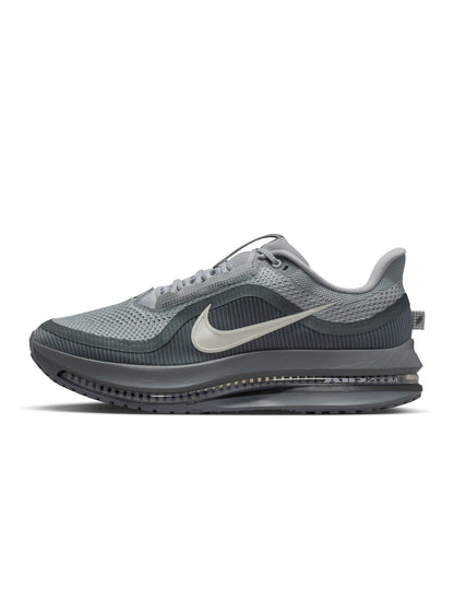 Nike Mens Pegasus Premium - Wolf Grey — product image 1
